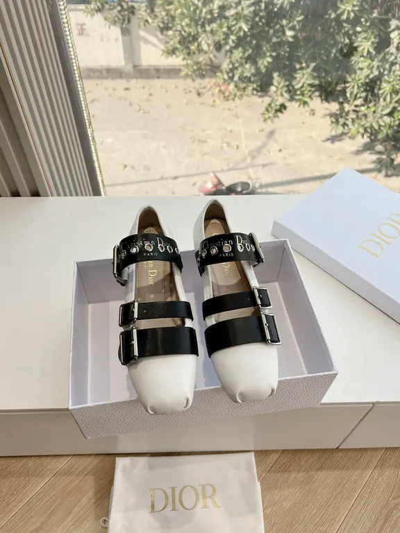 Dior Shoe