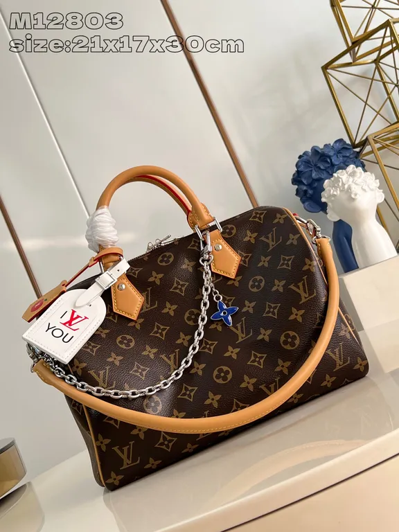 Louis Vuitton Bag