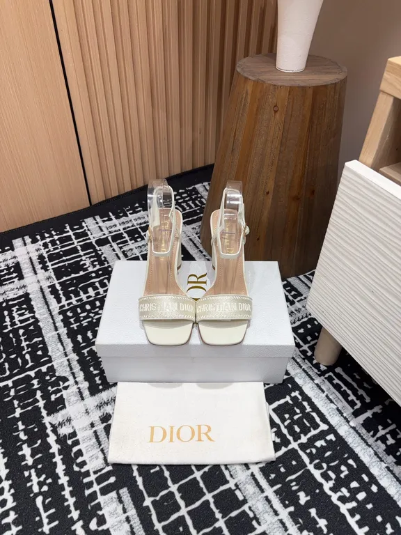 Dior Shoe