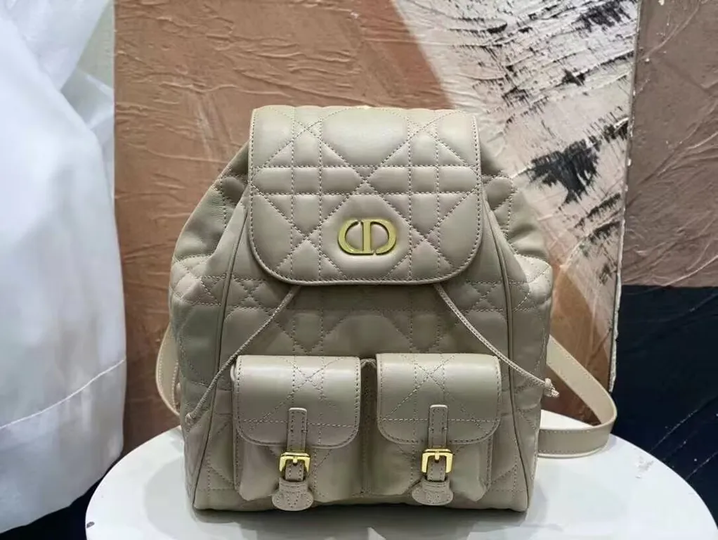 Dior Bag