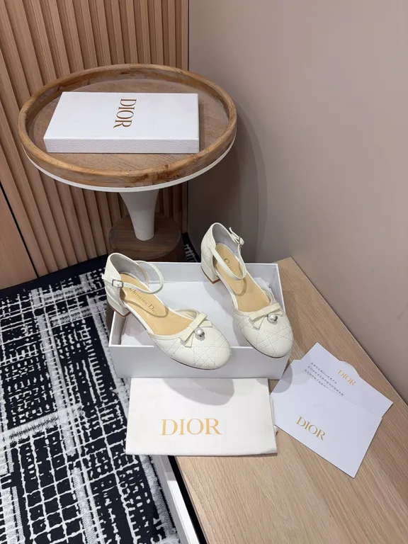 Dior Shoe