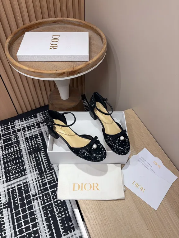 Dior Shoe