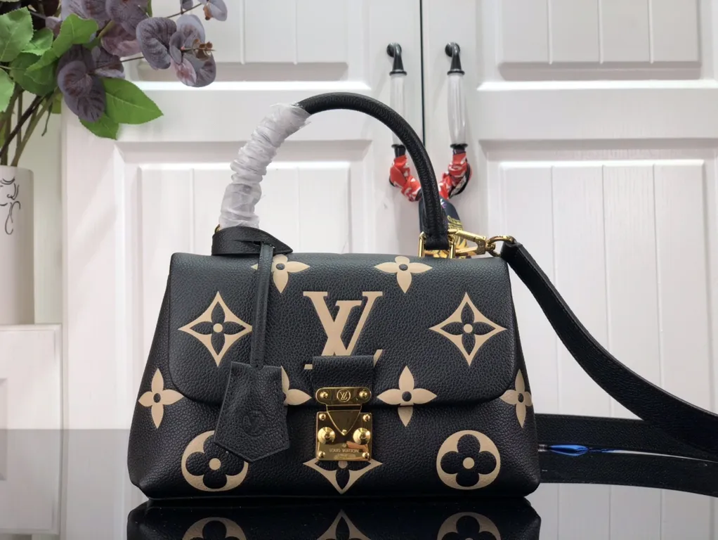 Louis Vuitton Bag