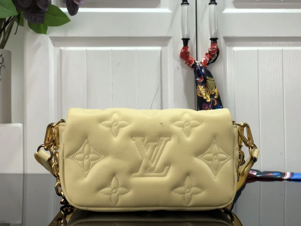 Louis Vuitton Bag