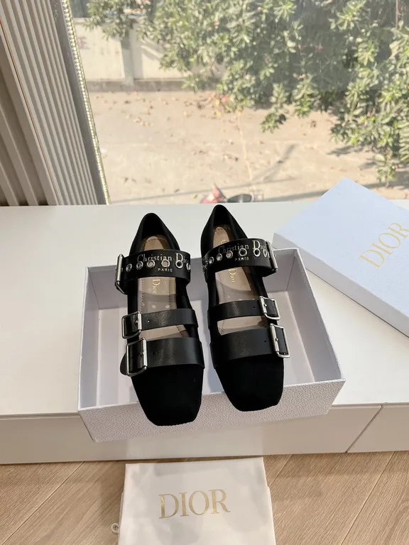 Dior Shoe