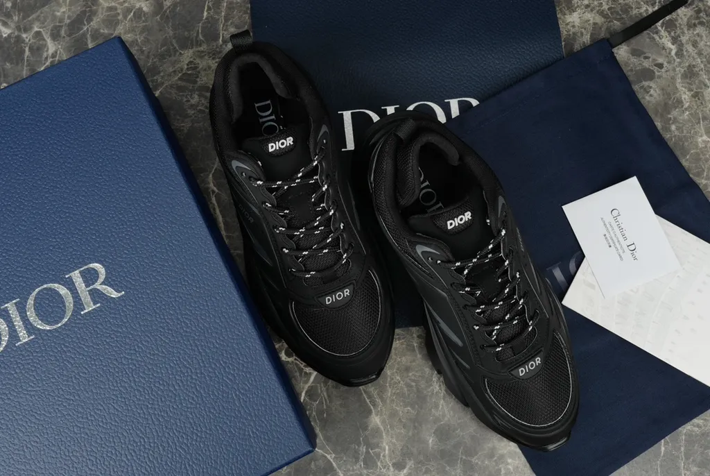 Dior Shoe