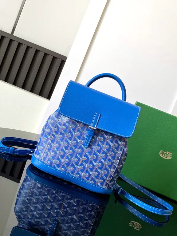 Goyard Bag