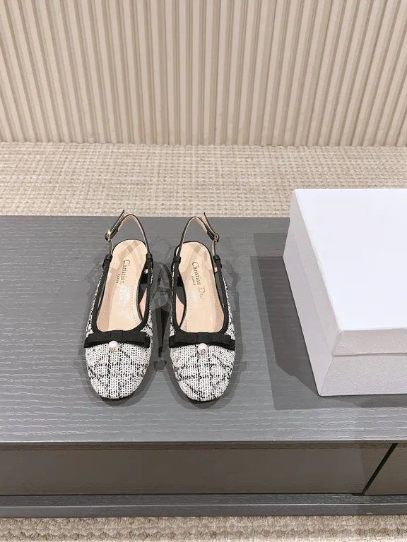 Dior Shoe