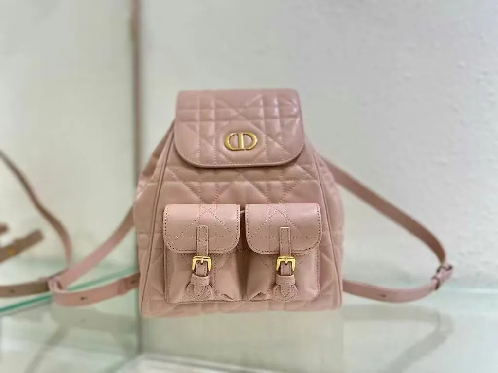 Dior Bag