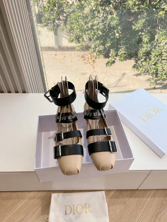 Dior Shoe