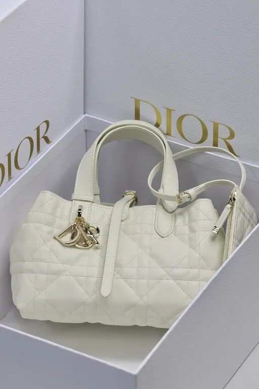 Dior Bag