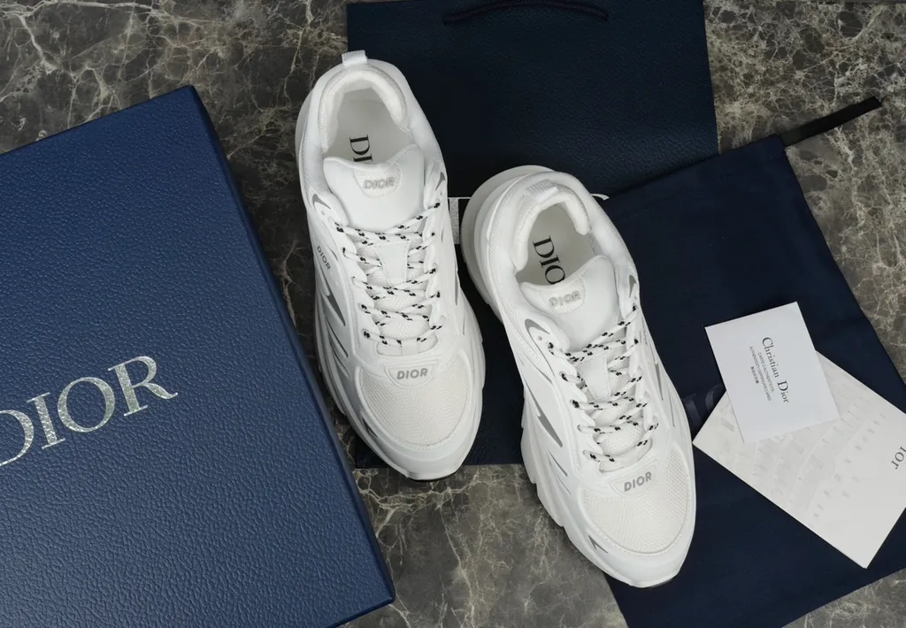 Dior Shoe