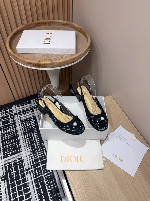 Dior Shoe