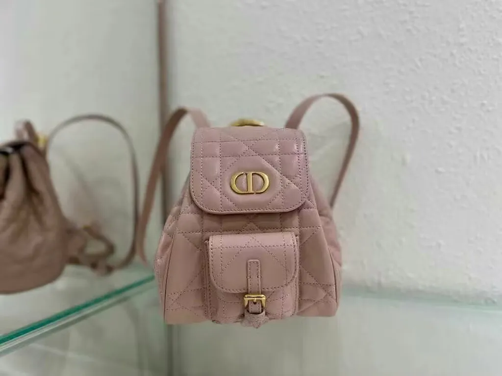 Dior Bag