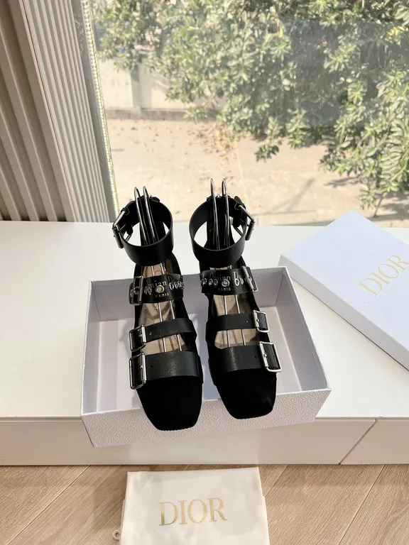 Dior Shoe