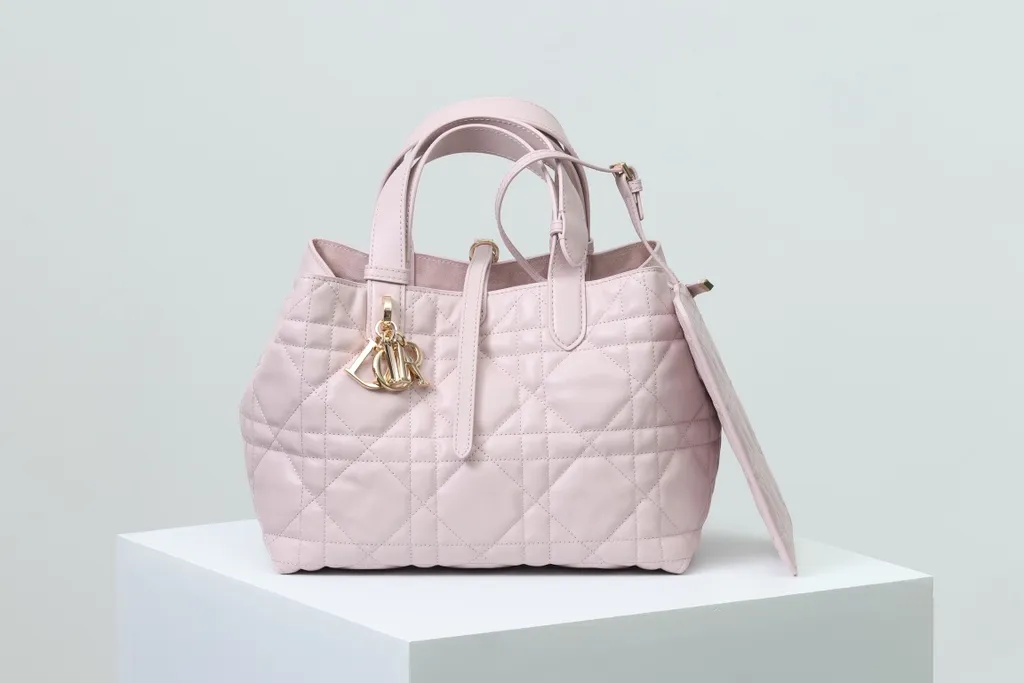 Dior Bag