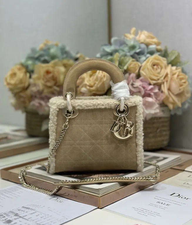 Dior Bag