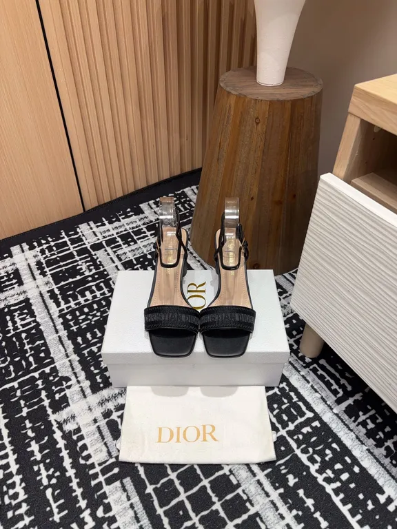 Dior Shoe