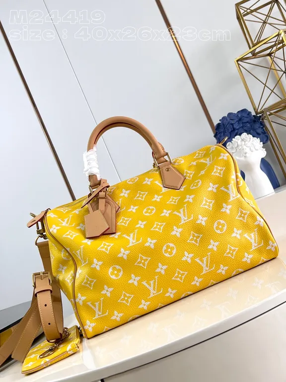 Louis Vuitton Bag