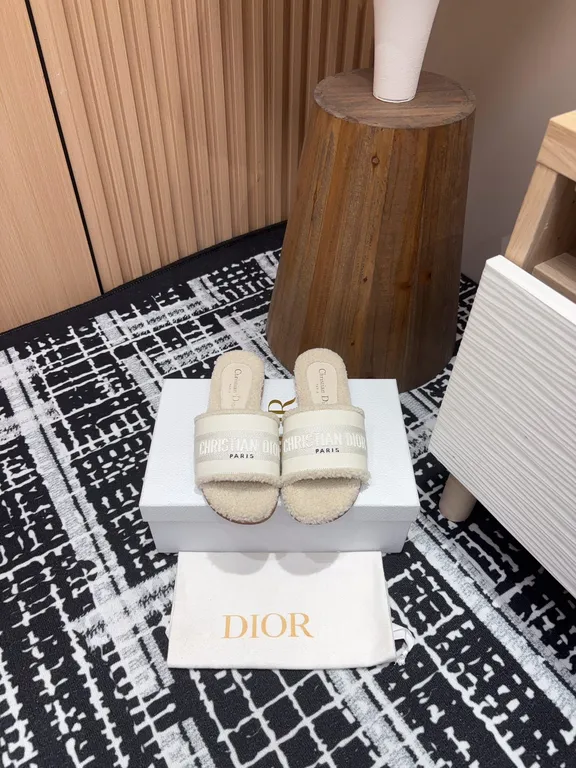 Dior Shoe