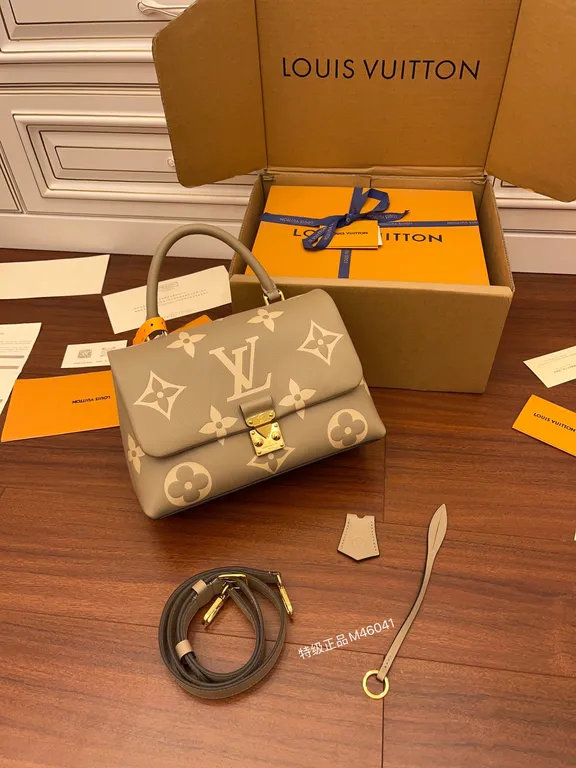 Louis Vuitton Bag