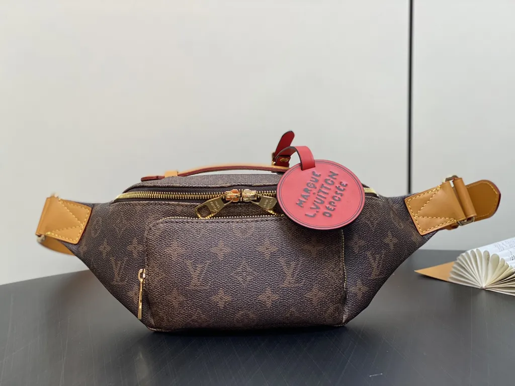 Louis Vuitton Bag