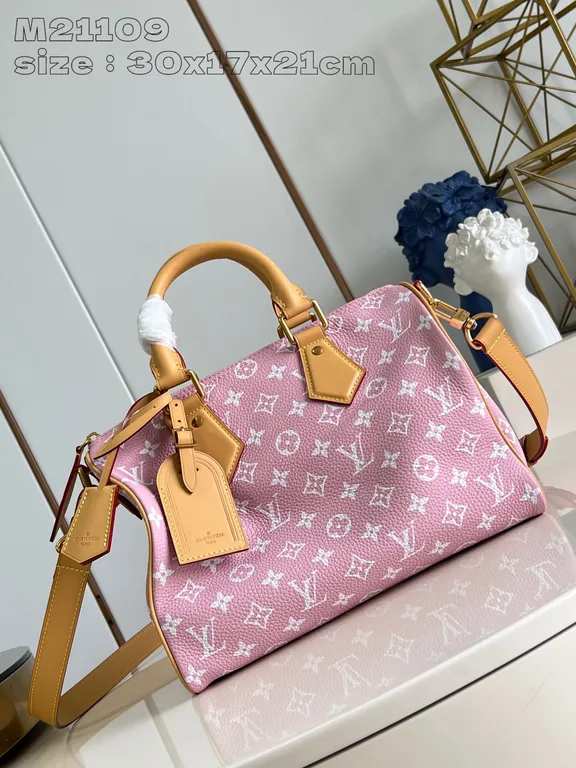 Louis Vuitton Bag