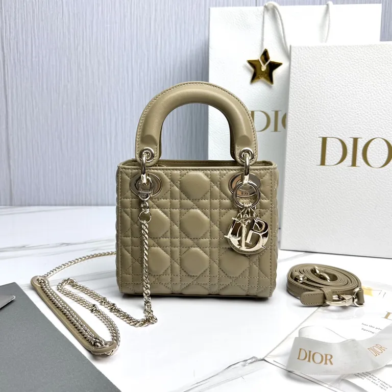 Dior Bag