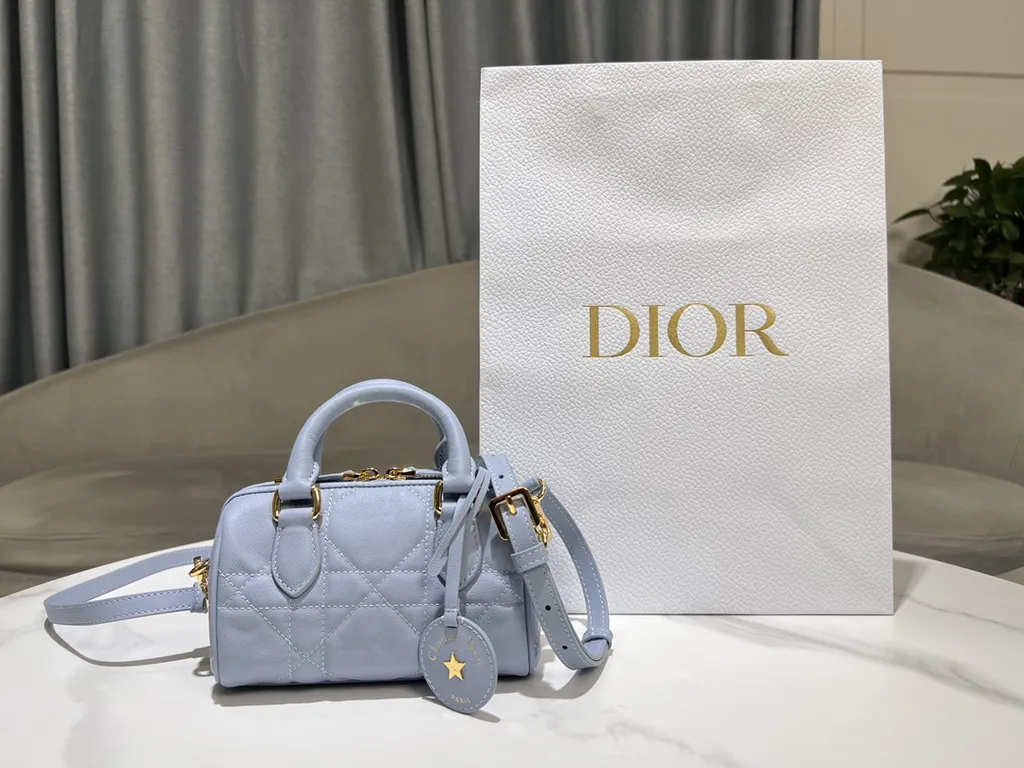 Dior Bag