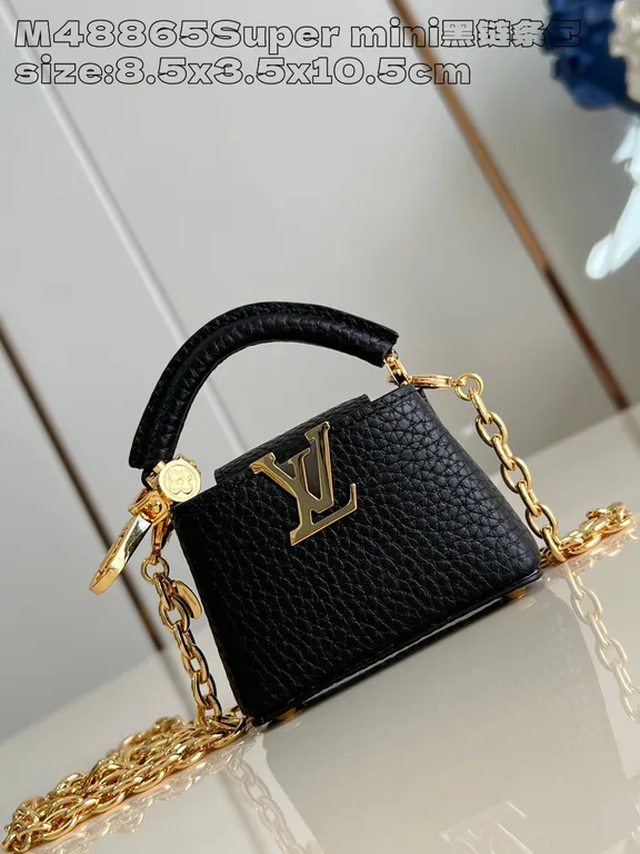 Louis Vuitton Bag