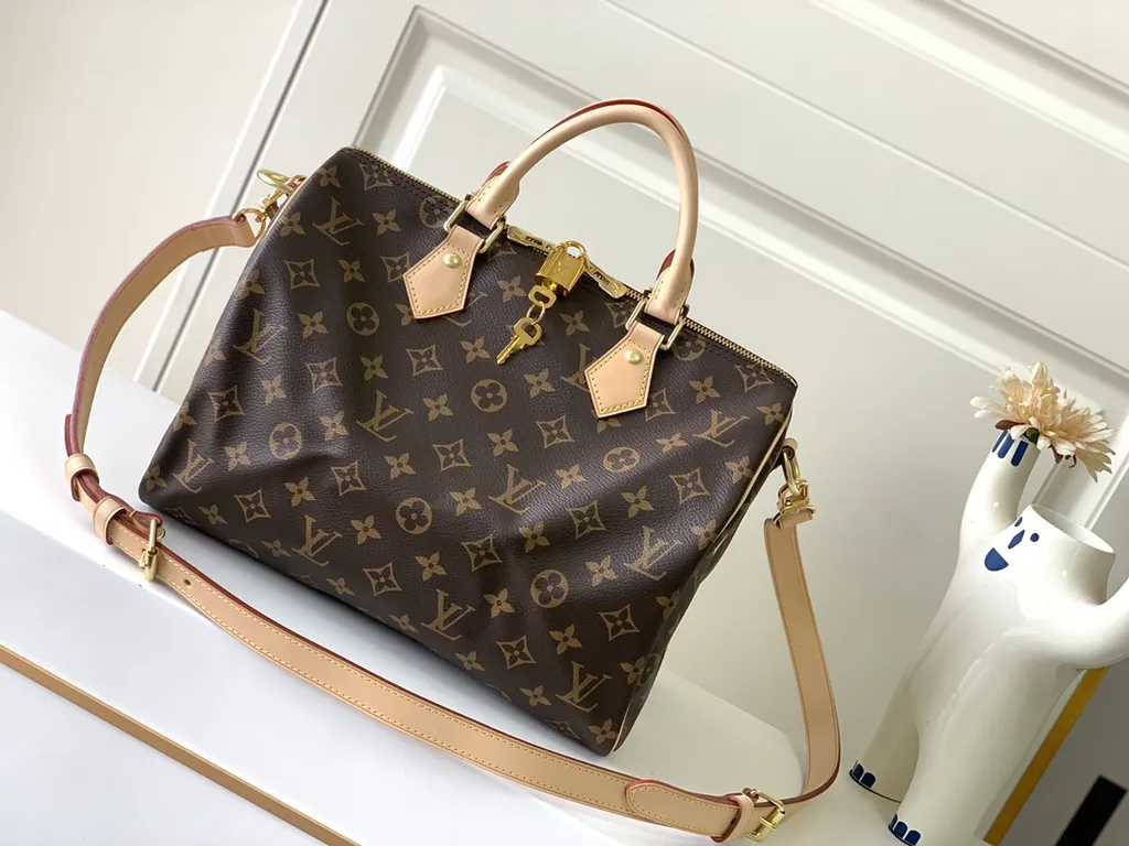 Louis Vuitton Bag