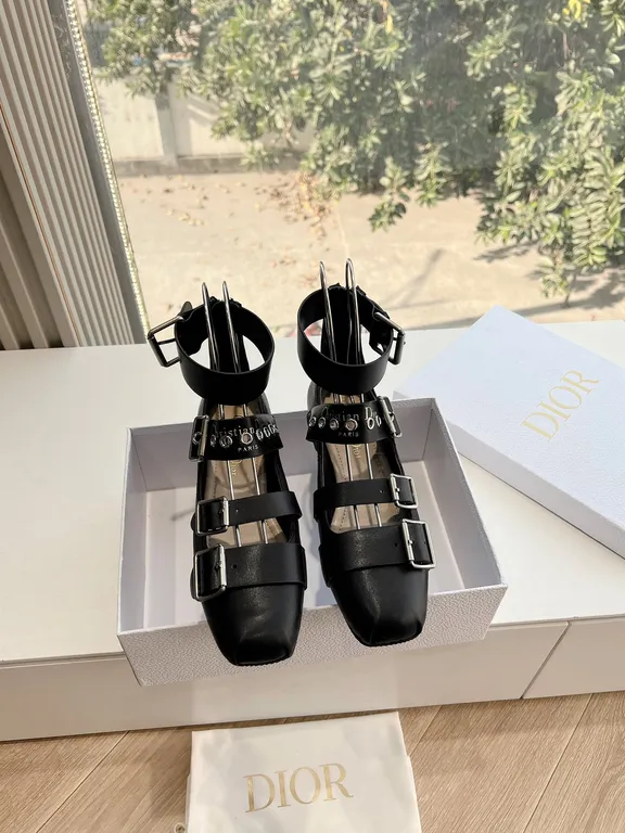 Dior Shoe