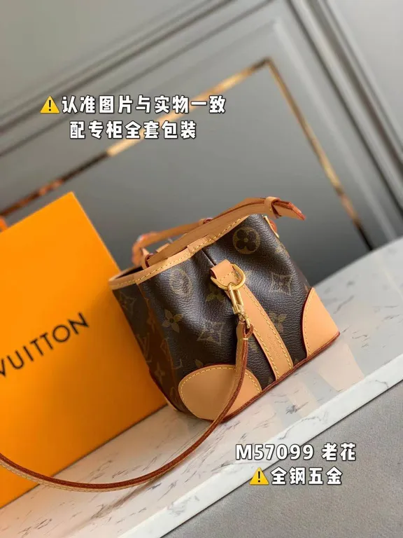 Louis Vuitton Bag