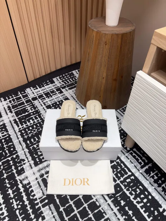 Dior Shoe