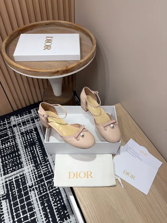 Dior Shoe