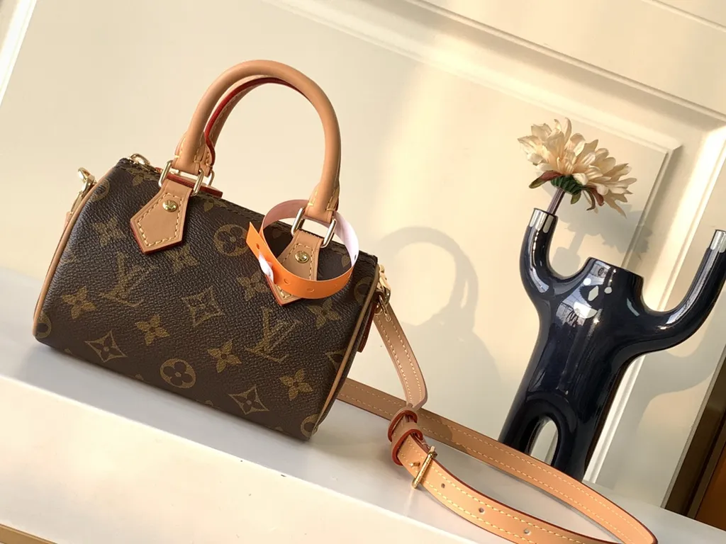 Louis Vuitton Bag