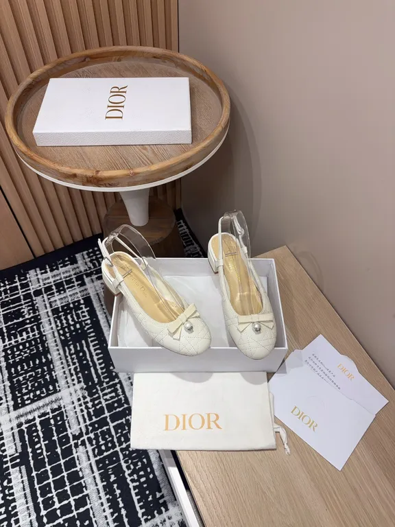 Dior Shoe